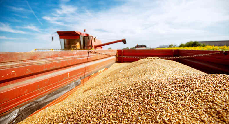 Рост экспорта продуктов переработки зерна